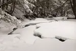 Frozen in Time: The Beauty of Diana's Baths. Photographic Journey into the heart of New Hampshire's White Mountains. Cascading waters meet granite bedrock.