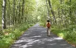 Come visit Stokes State Forest through my photography and see how Stokes State Forest in New Jersey is a true hidden gem for photographers