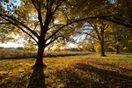 Join The Traveling Photographer on a photographic adventure through the iconic historic grounds of Valley Forge National Park.