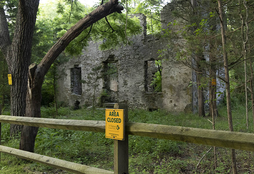 Wheaton Mansion