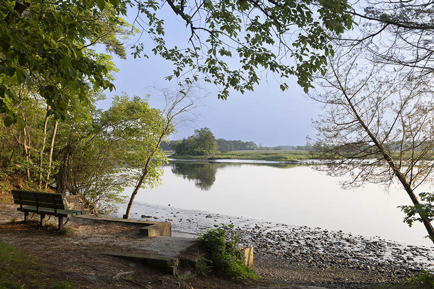 Maurice River Beach Bench