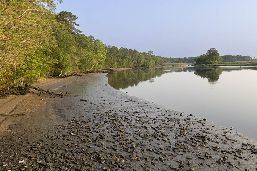 Maurice River Beach