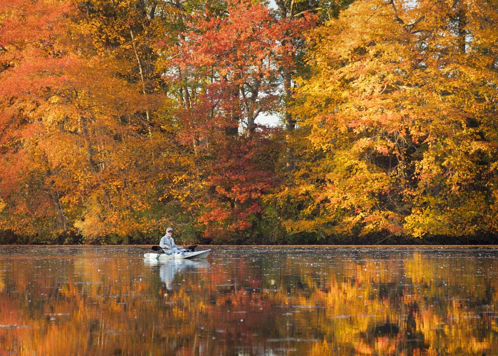 Photo of Alcyon Lake kayaker