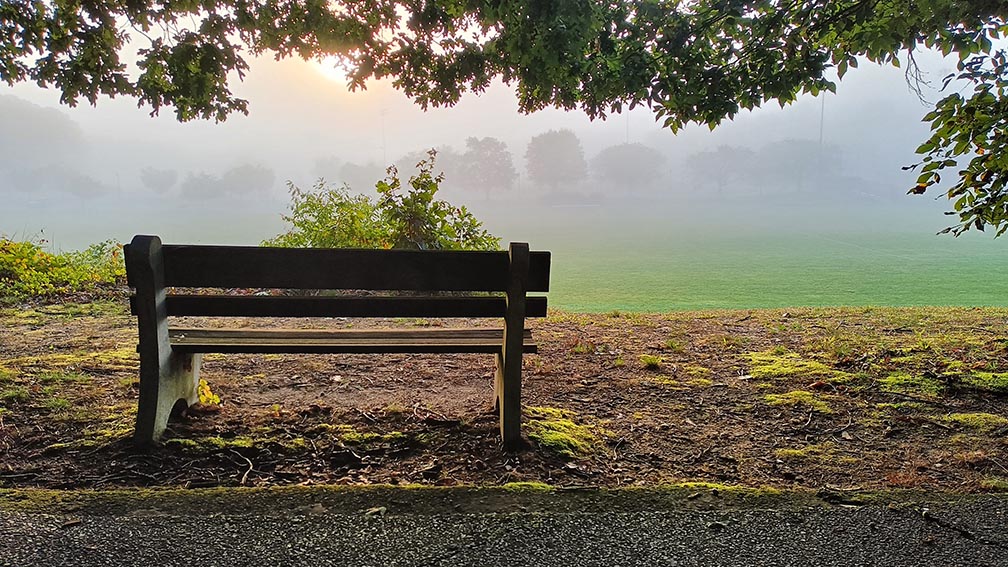 The sun was trying its best to burst through the fog. Bench at Alcyon Park