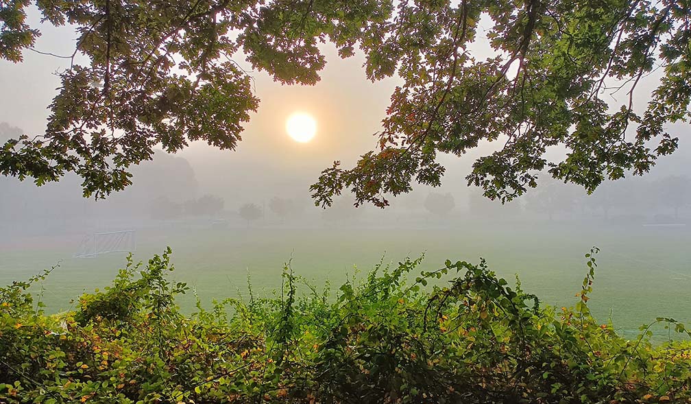 Alcyon Lake Foggy Sunrise