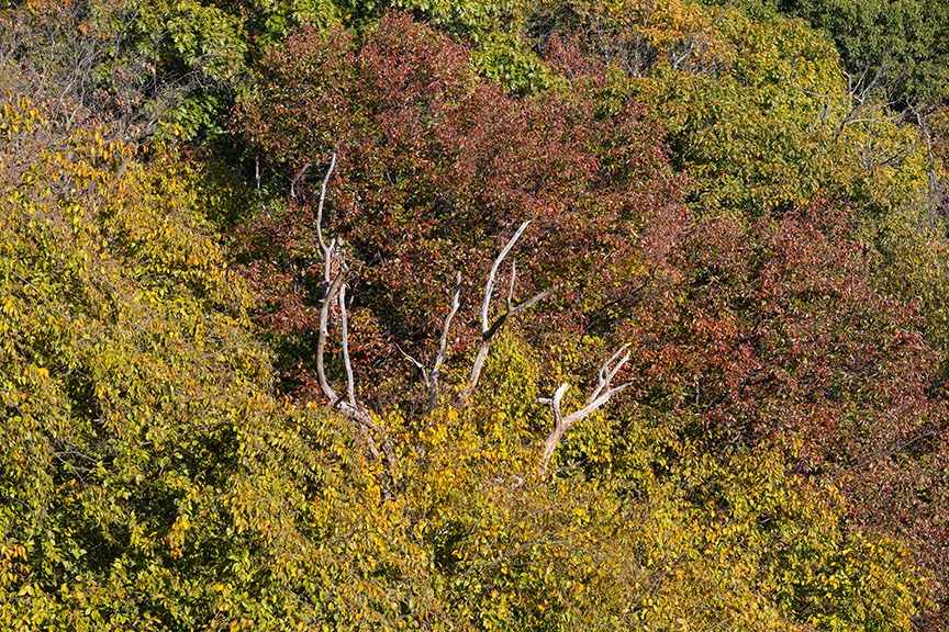 Pulpit Train View Abstract