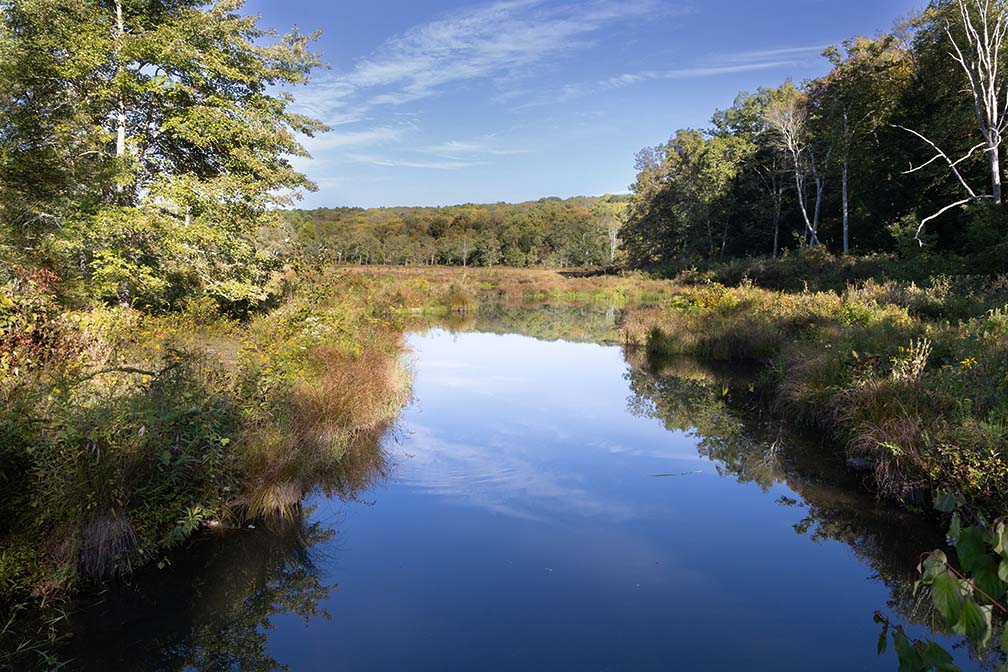 Crigger Road Bridge View
