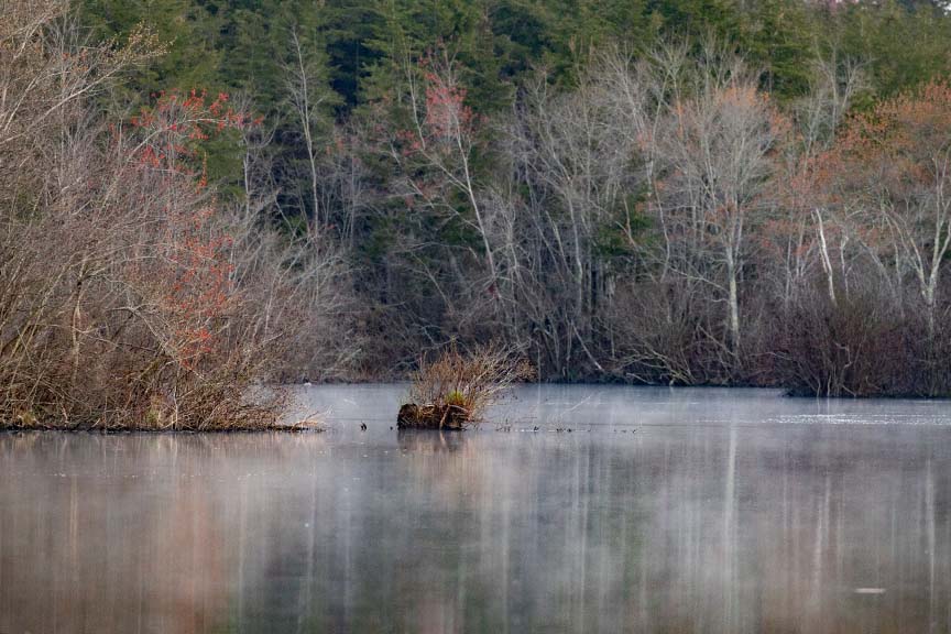 Early Spring Photo of Parvin Lake and Foliage