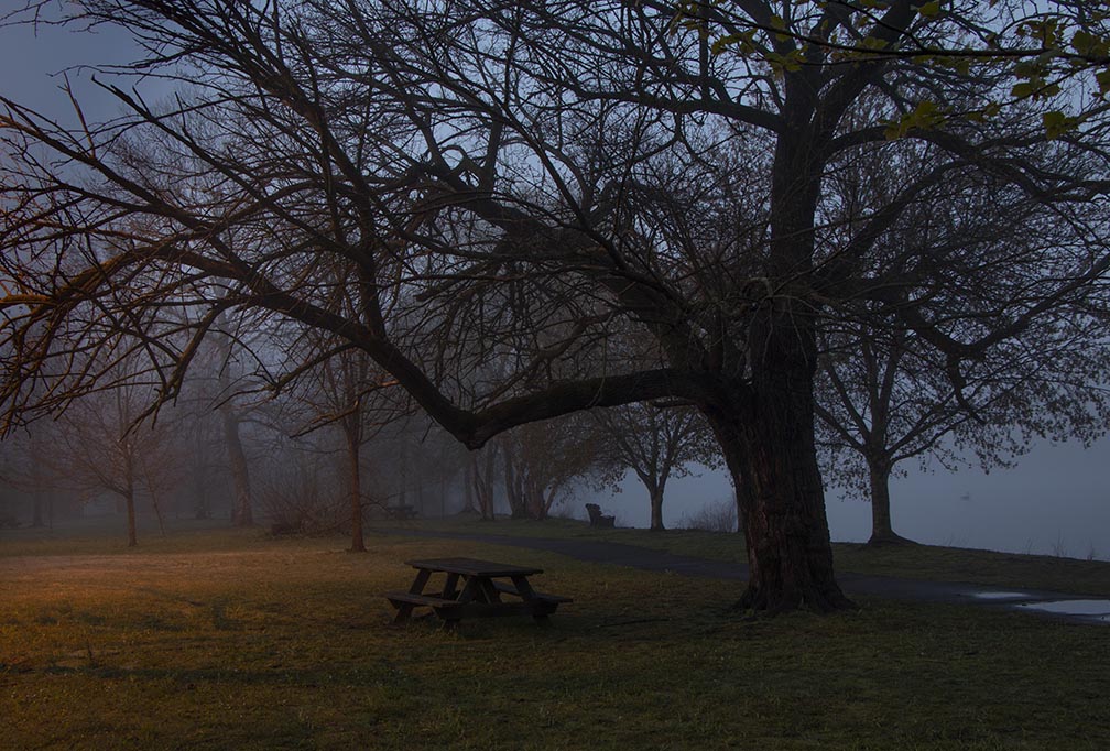 Eerie Spooky lake photo