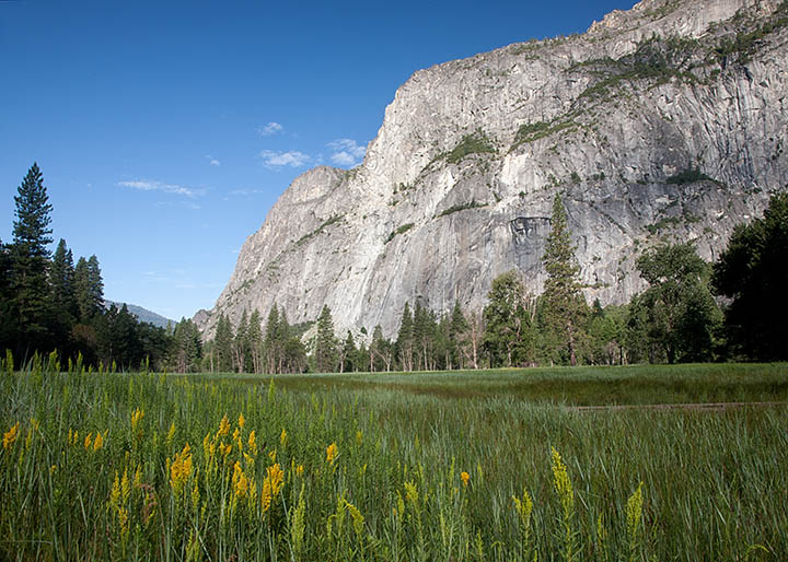 El Capitan from Cooks Meadow