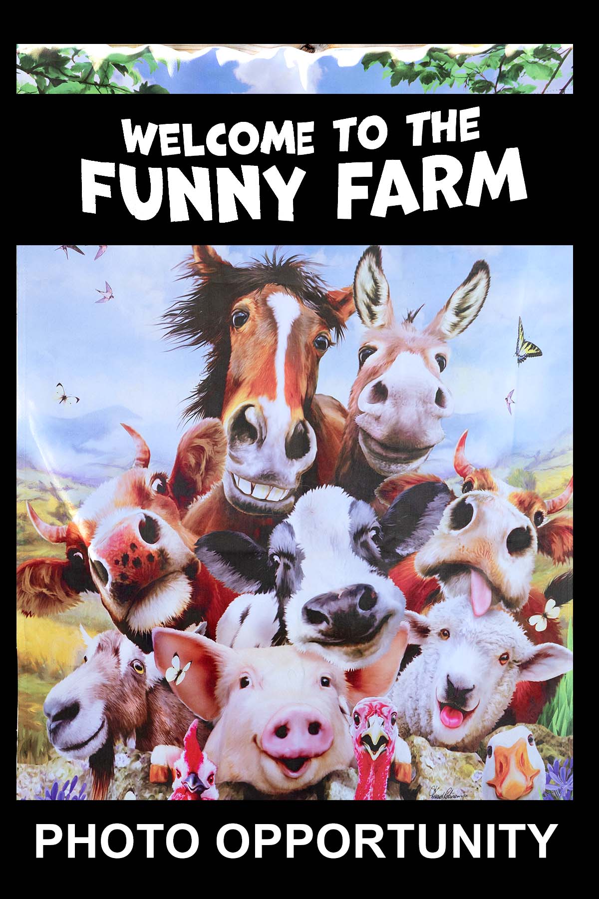 Funny Farm Photo Opportunity