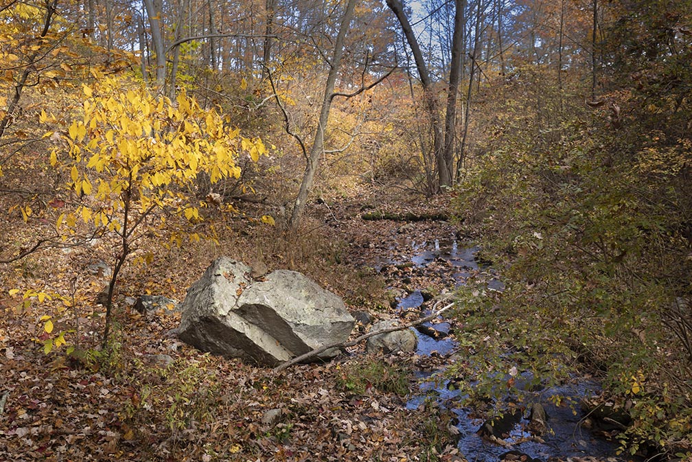 Rcks, stream, and foall colors of Hight Point, NJ hike