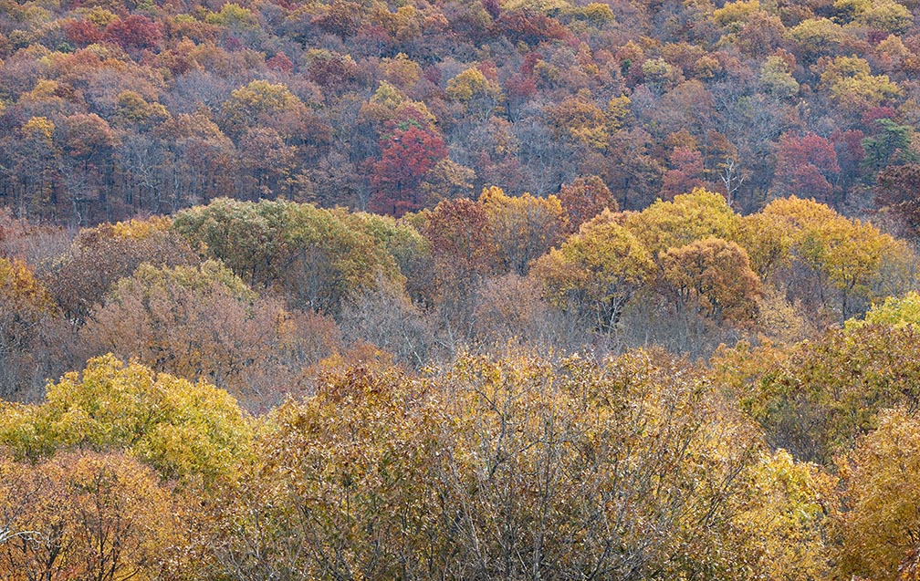 Scenic view High  Point State Park