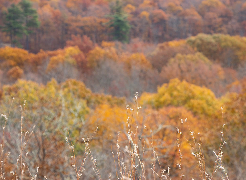 Appalachian Trail Scenic view in the Fall