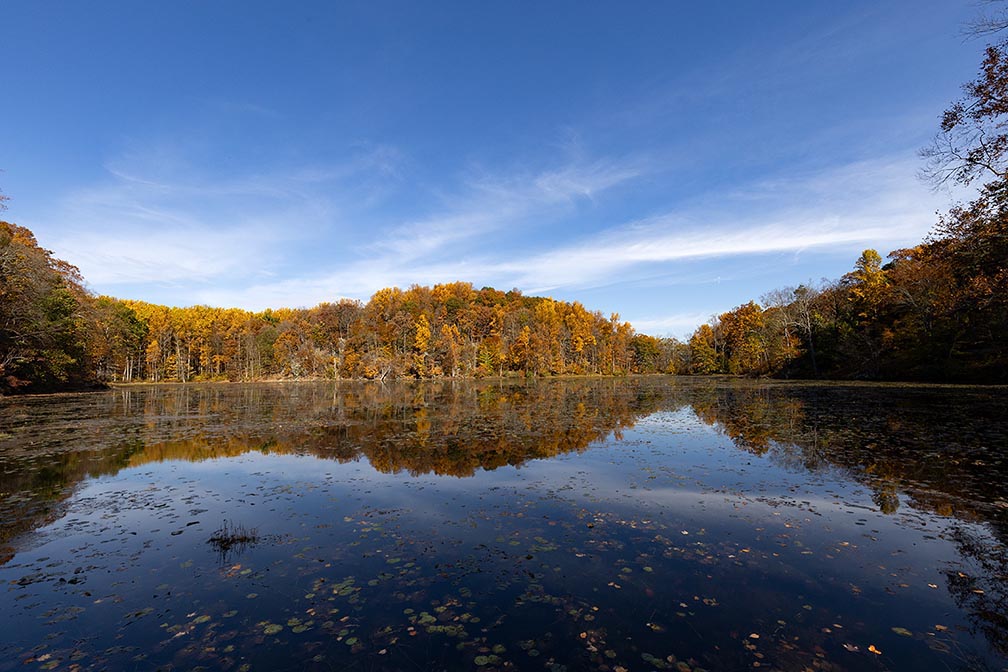 Ghost Lake, Jenny Jump Forest