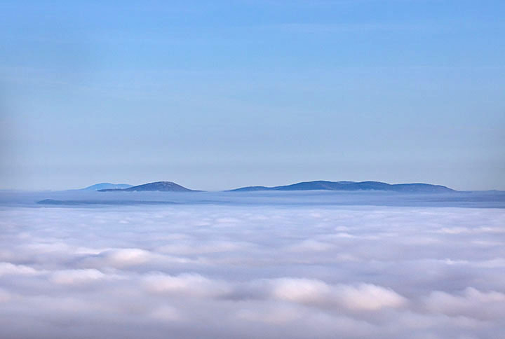 Maine schoodic morning mist