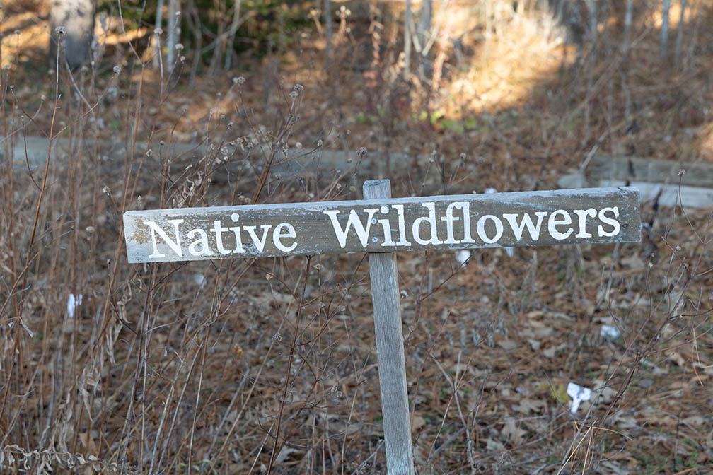 Malaga Lake Native Wildflowers