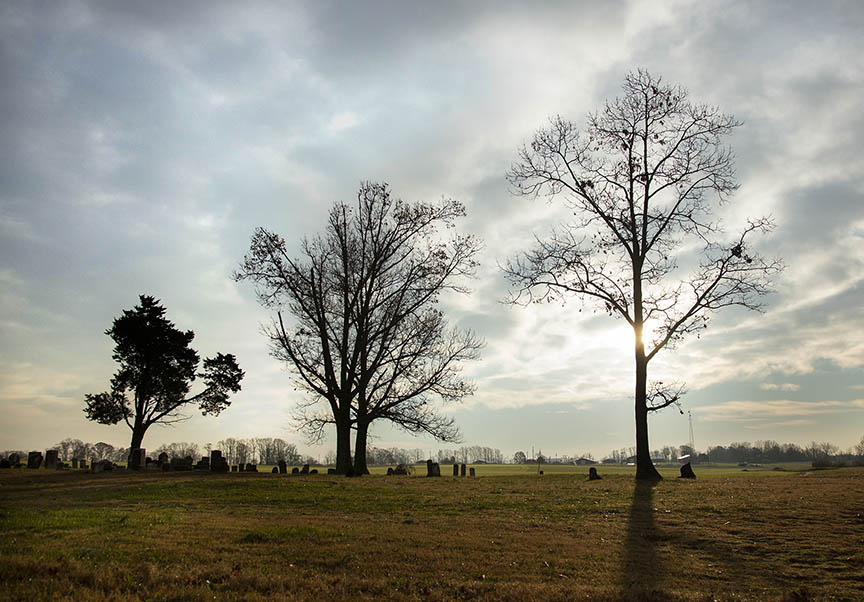 Mannington Cemetery Landscape