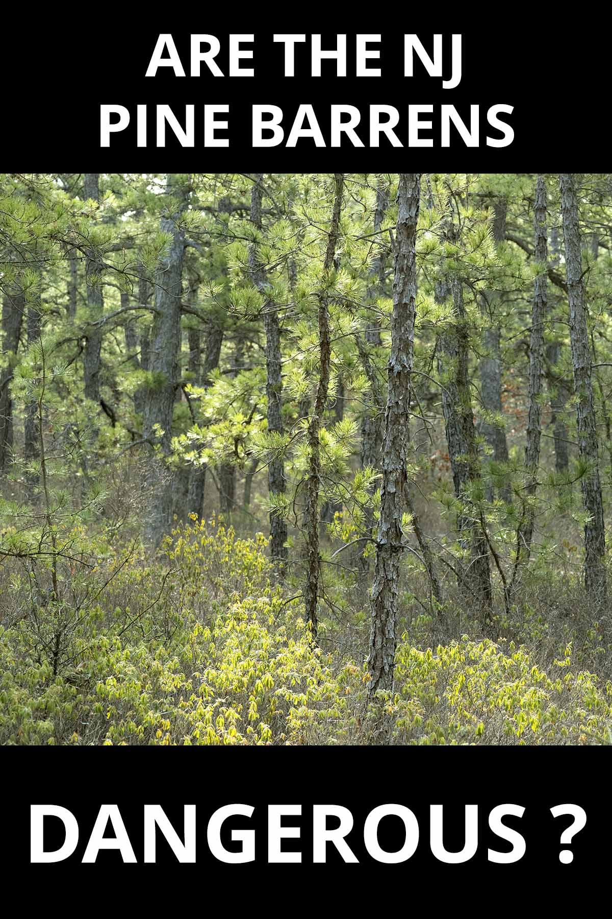 New Jersey Pinelands Dangerous