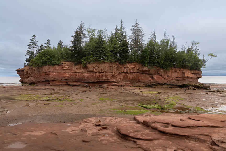 Burntcoat Head Park