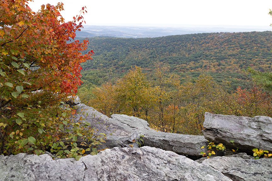 View From Pinnacle Trail