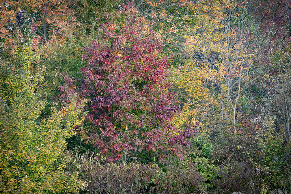 Salem County Abstract