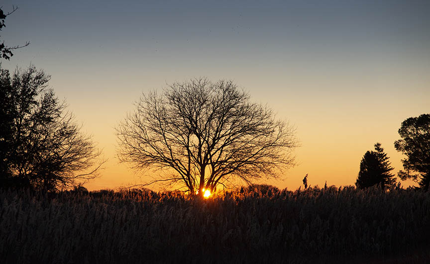 Salem sunrise