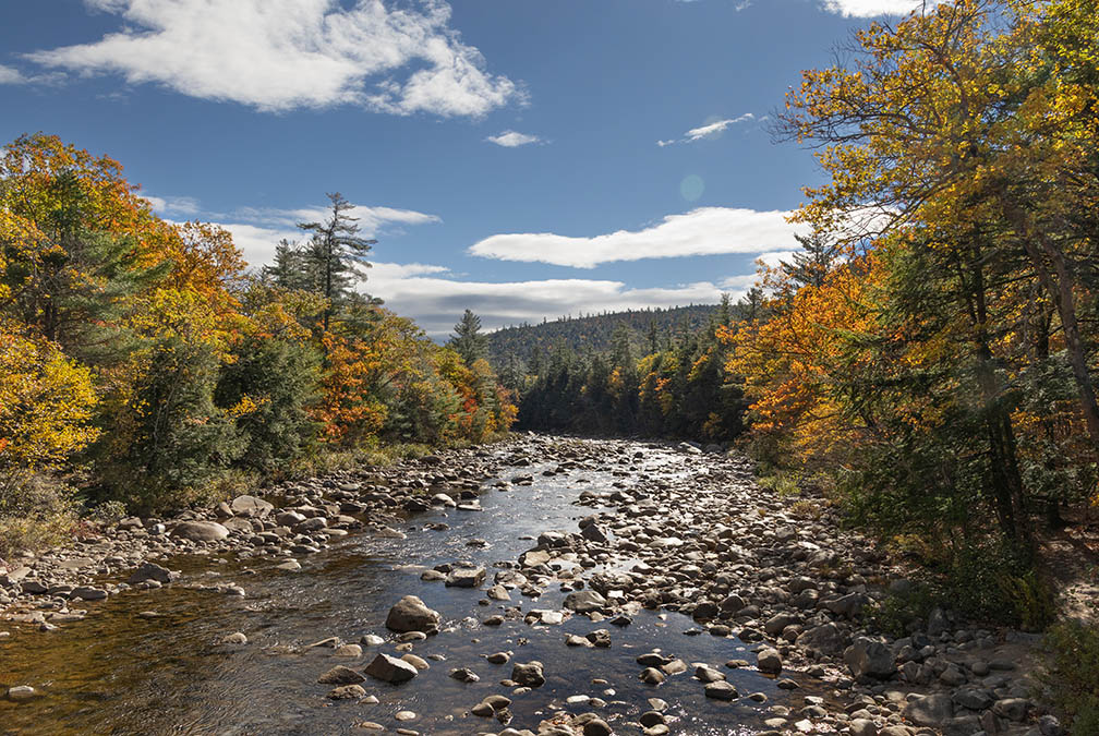 View From Albany Bridge