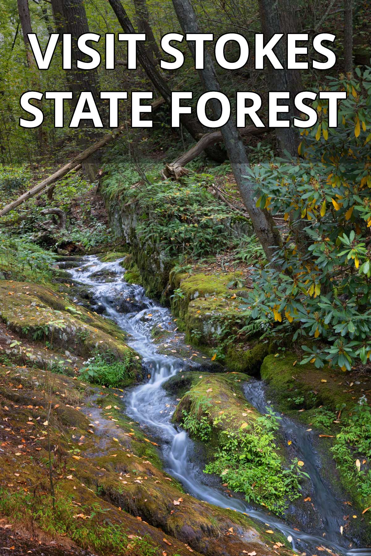 Visit Stokes State Forest