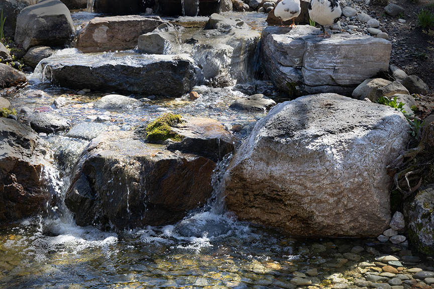 Garden Waterfall at Funny Farm