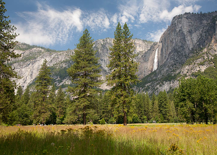 Yosemite Valley Floor