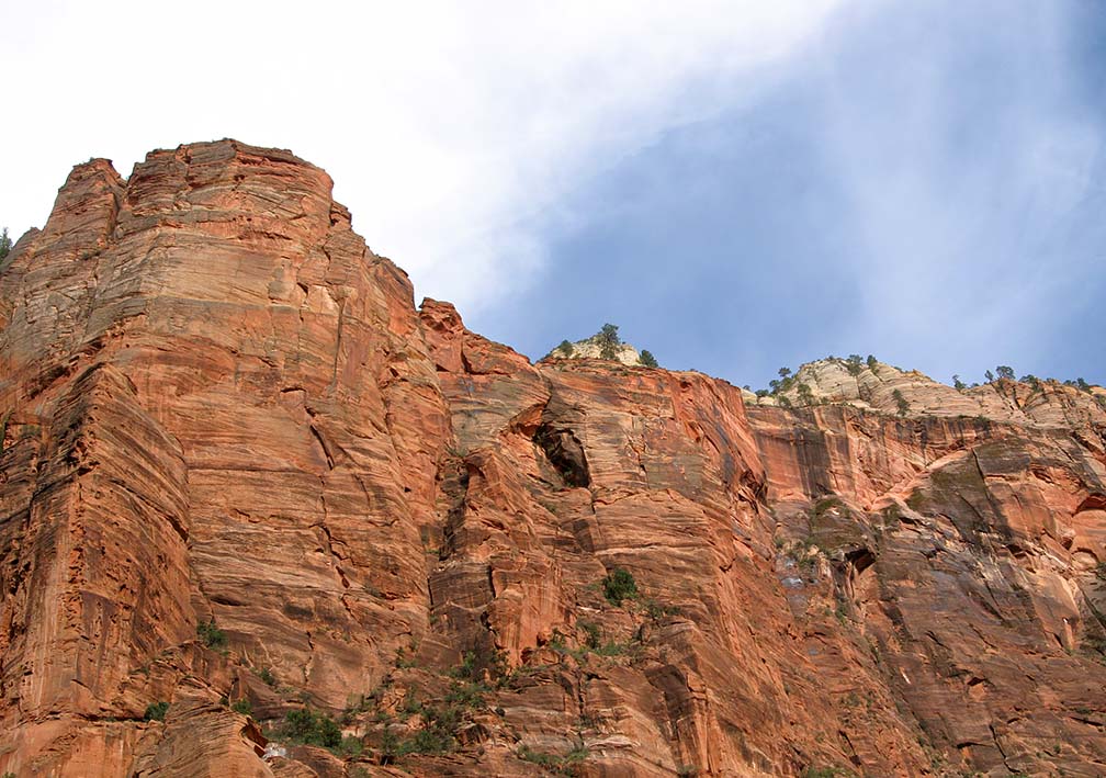 Zion landscape photo