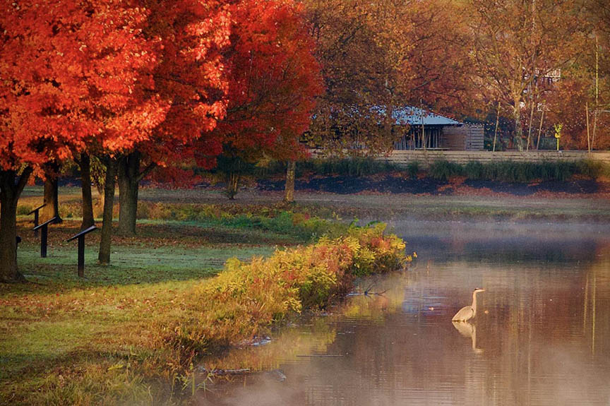 Colorful Fall scene at Cooper River Park