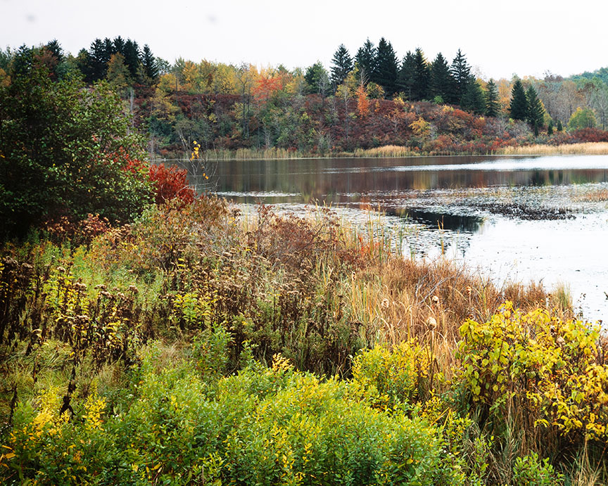 Fall Scend Using 4x5 Sheet Film