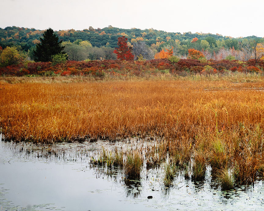 Fall Scene With View Camera