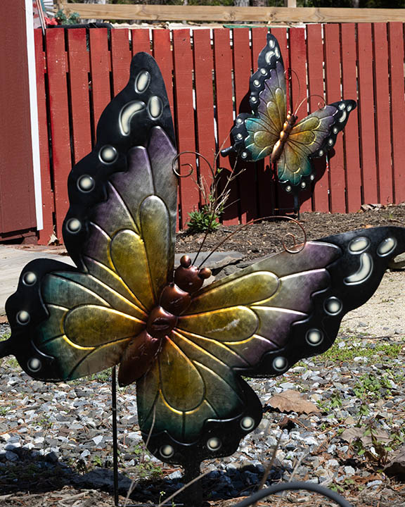 Garden butterflies