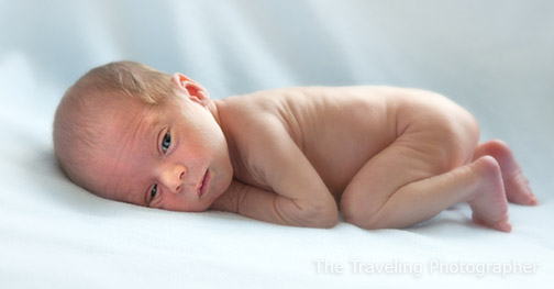 Newborn portrait sample