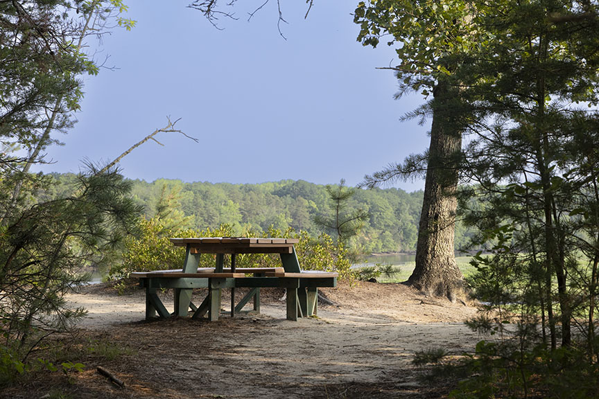 Picnic table on Maurice White Trail