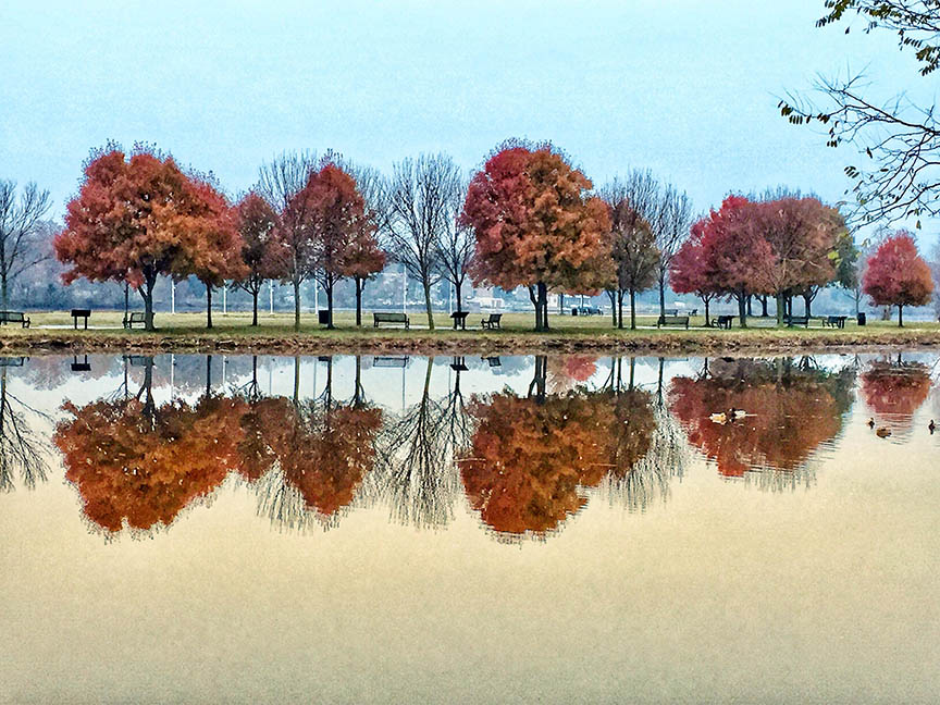 Spectacular Fall Colors