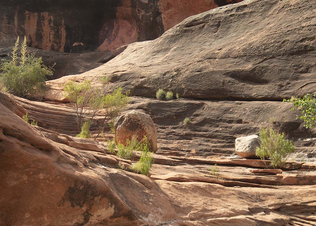 Grand Canyon Abstract Photo #4