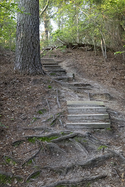 Blue Trail Steps