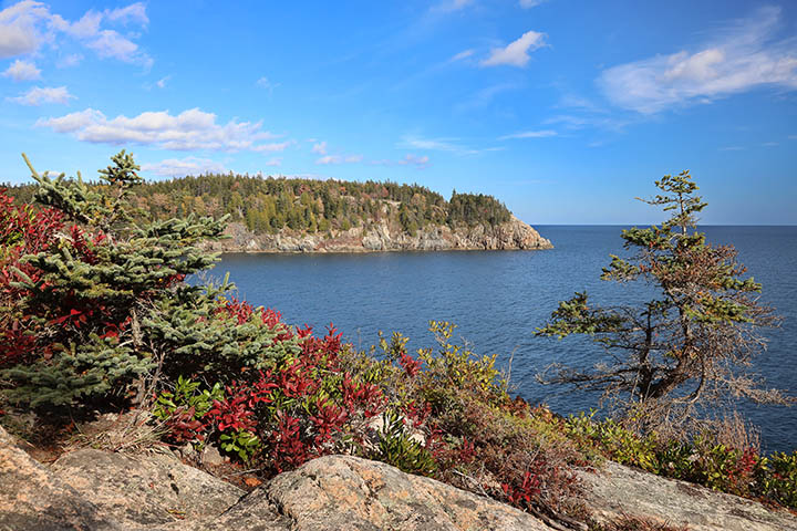 Daytime photography Acadia