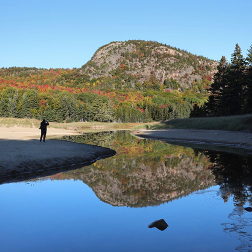 Sand Beach Acadia Fall