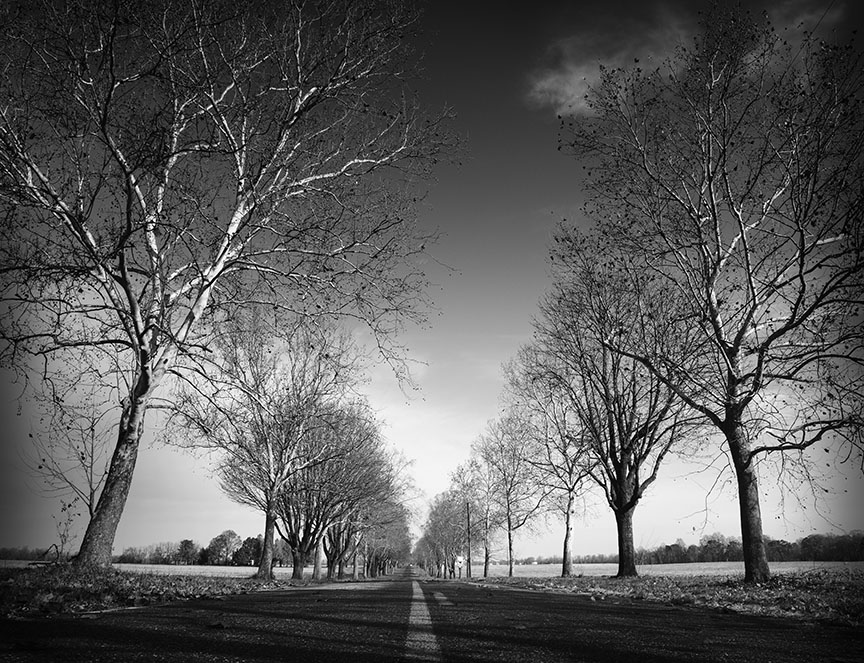 Game of Thrones in New Jersey