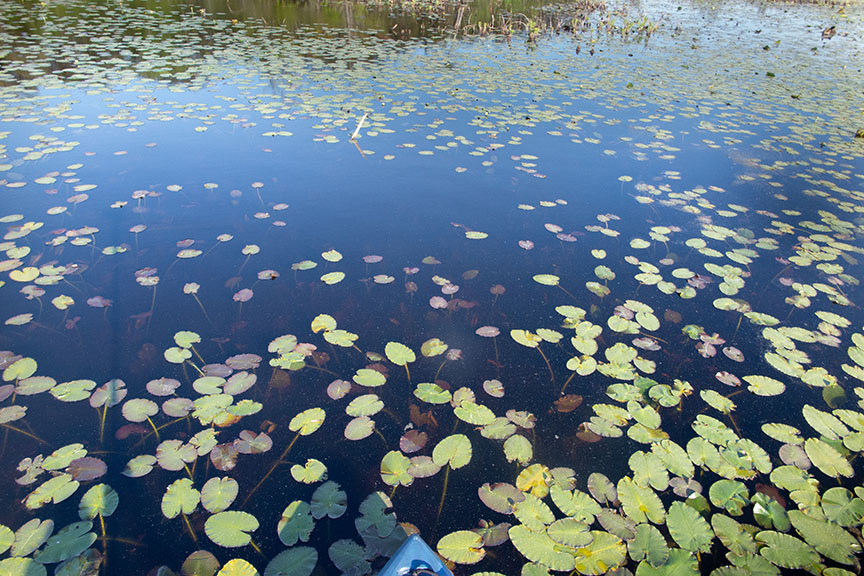 Kayak with monopod photo of Malaga Lake