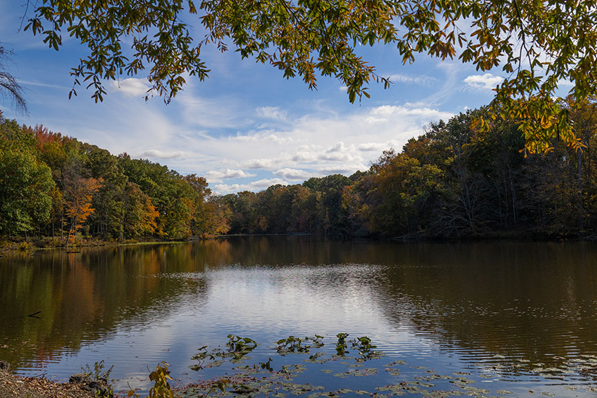 Laurel Lake in Quinton NJ
