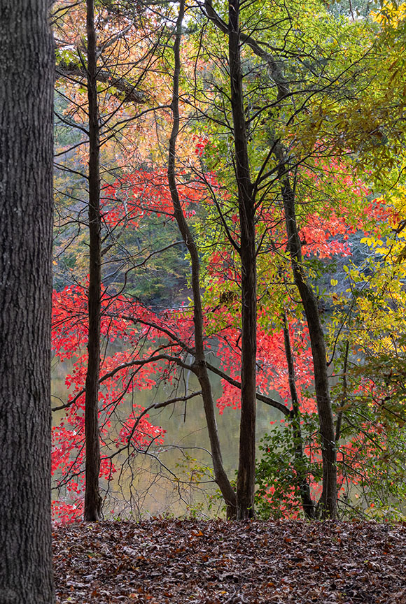 Laurel Lake, Quinton Fall Colors
