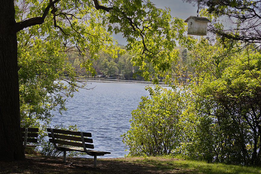 Malaga Lake in the Spring