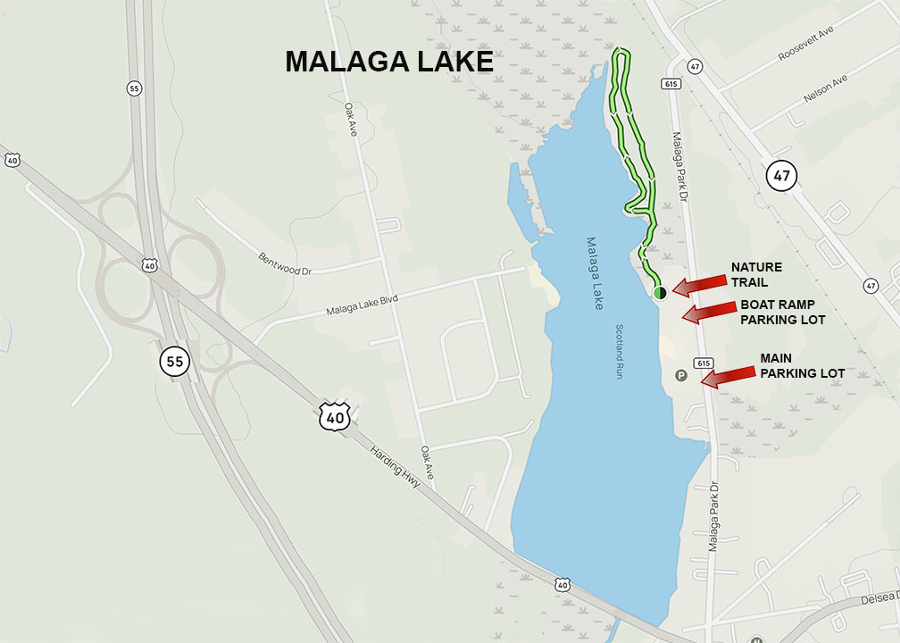 Malaga Lake NJ Map