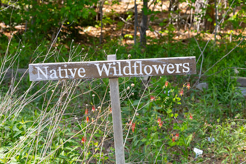 Malaga Lake Spring Wildflowers 